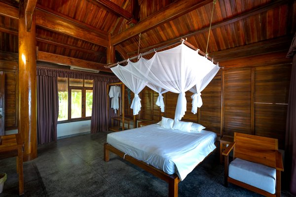 Quels sont les meilleurs conseils pour un camping en région de forêt de conifères en hiver?