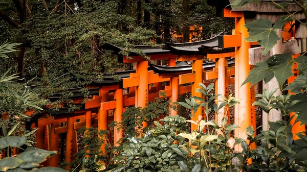 Comment planifier une visite des sanctuaires shintoïstes au Japon?